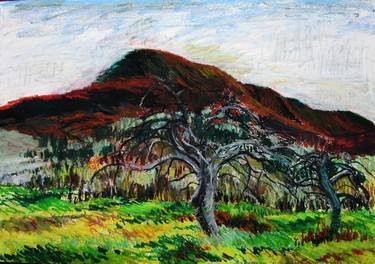 "Mt. Norwottuck and Apple Trees" Holyoke Range Mountains thumb