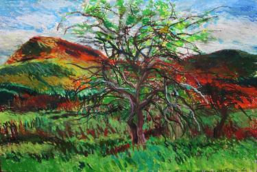 Mt. Norwottuck and Apple Tree," Holyoke Mountain Range thumb