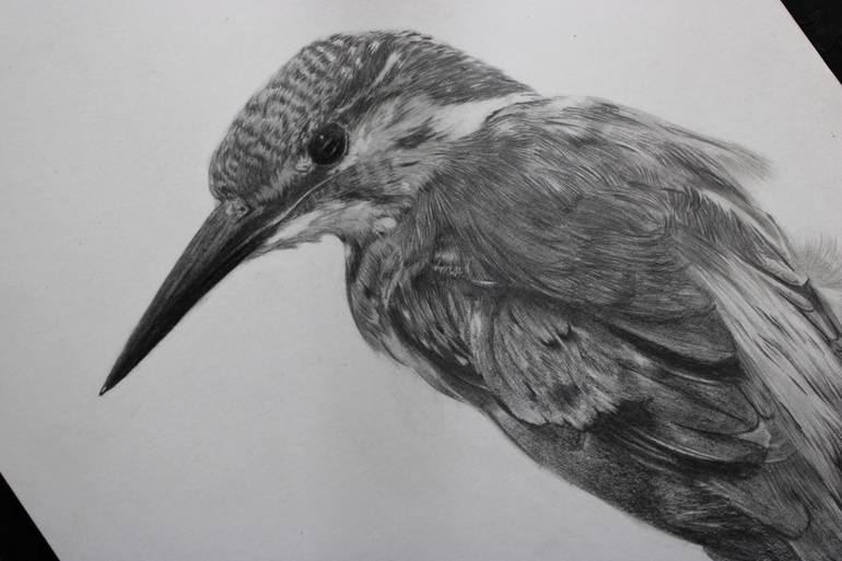 Original Realism Animal Drawing by Ravone Arts