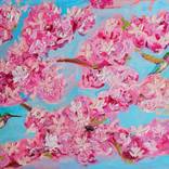Sky in Bloom by Amanda Dagg