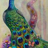Peacock’s Secret Garden by Amanda Dagg