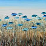 Collection Ben & Lisa Ideas