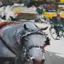 Original watercolour and gouache 11 W x 15 H inch.(29x38 cm) 'Rest to Central Park' view through a crossroad, next to Central Park, with an horse drawn carriage waiting for a new ride, and on background all the frenetic life of a New York in rush hour: Demo in Studio 2017 by Maximilian Damico, professional Watercolourist; on paper watercolor Saunders Waterford 300gm rough