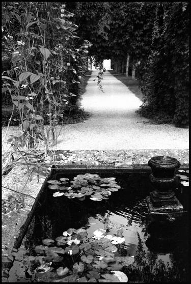 Original Fine Art Nature Photography by Paul Cooklin