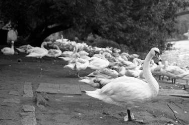 Original Fine Art Cities Photography by Paul Cooklin