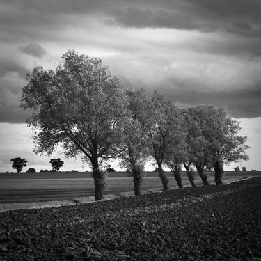 Edition 2/10 - Walsham Le Willows, Suffolk thumb