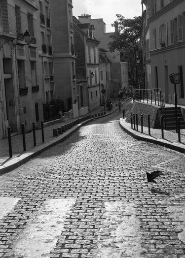 Edition 1/10 - Pigeon Crossing, Paris, France thumb