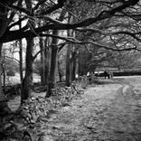 Collection Sheffield