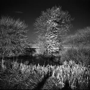 Collection West Thorpe, Suffolk