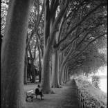 Collection Monochromatic Magic: An Exhibition of Black and White Photography