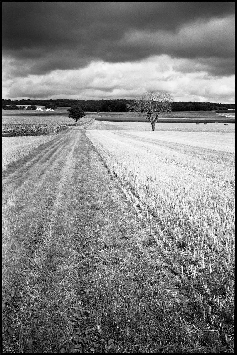 Edition 3/10 - Crop Field, Couziers, Loire Valley, France