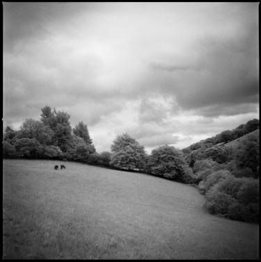 Edition 1/10 - Woodland, Tarr Steps, Exmoor [Infrared Film] thumb