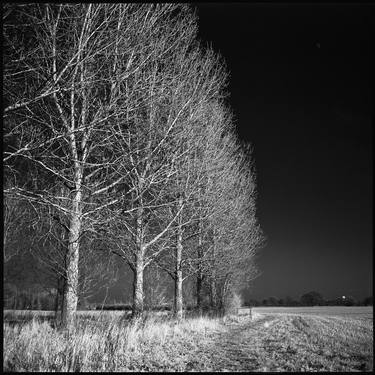 Edition 1/10 - West Thorpe I, Suffolk [Infrared Film] thumb