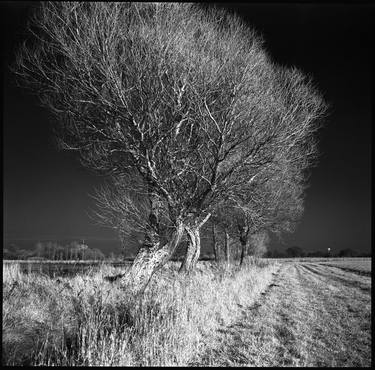 Edition 2/10 - West Thorpe IV, Suffolk [Infrared Film] thumb