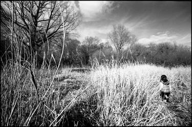 Edition 1/10 - Grass Clearing, Thorndon, Suffolk thumb