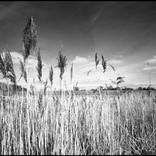 Collection Inspired by Ansel Adams