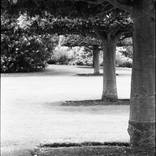 Collection Anglesey Abbey