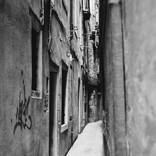 Collection Signed Open Edition Silver Gelatin Prints