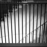 view additional image 1