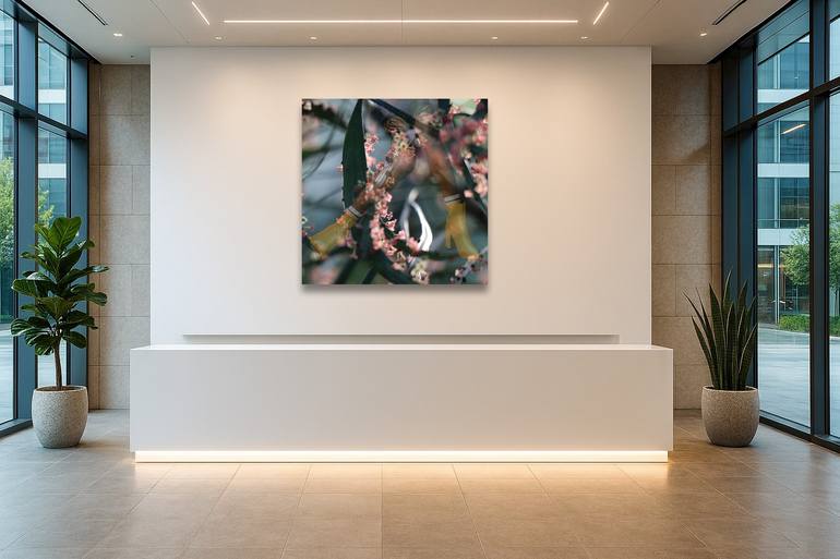 Original Abstract Floral Photography by Eric Koninckx