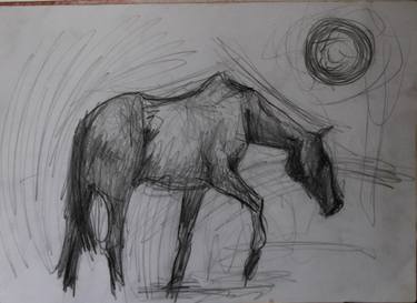 Print of Horse Drawings by Paul Mezei