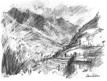 Original Nature Pencil Drawings From New Zealand Saatchi Art