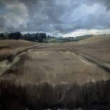 LONG WALK HOME by Dave Gibbons