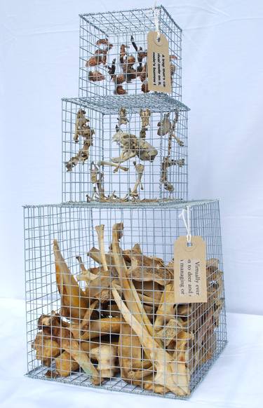 Original Abstract Animal Sculpture by Trina Guy-Smith
