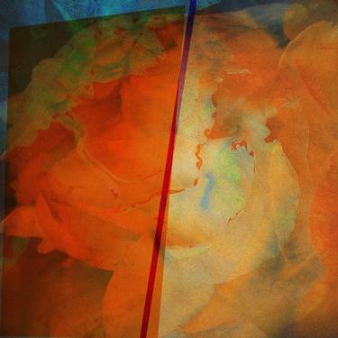 Original Abstract Photography by Nancy Louise Jones