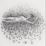Dreams in The Grass by pablo tauler