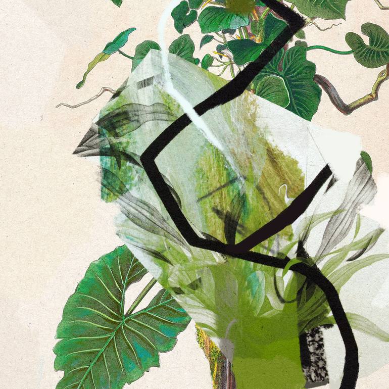 Original Abstract Nature Photography by Sander Steins