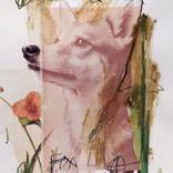 FOX by Sander Steins