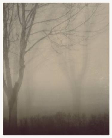 SSS Study (p06, fog), edition of 3 thumb