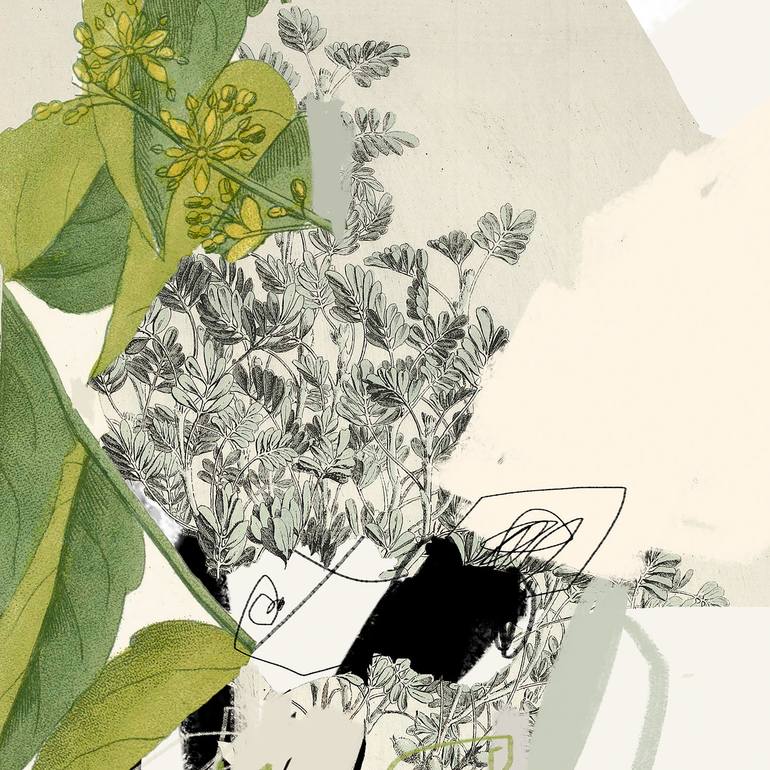 Original Abstract Nature Photography by Sander Steins