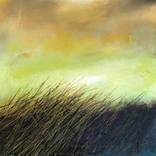 Lockdown Sunset and Grass by chris lock