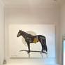 On display for Group Exhibition