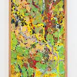 Maps of Meaning project: Spring awake of life in the black soil. by Pavel Brat