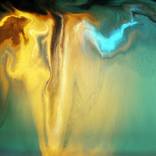Collection Ephemeral Art