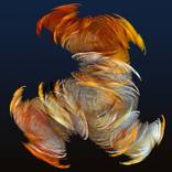 Collection Fractal Art