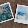 1) Sunlit Forest, 2) Winter Dream.