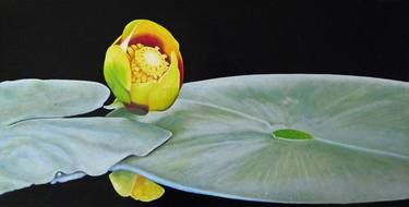 Original Nature Paintings by Norm Holmberg