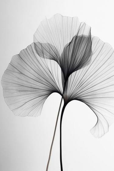 Print of Conceptual Nature Photography by steven sandner