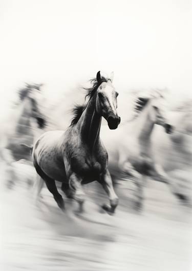 Original Modern Horse Photography by steven sandner