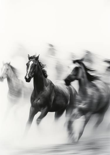 Original Minimalism Horse Photography by steven sandner
