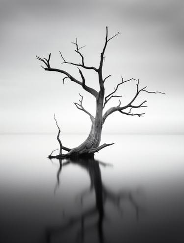 Original Landscape Photography by steven sandner