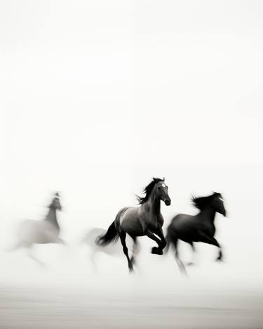 Original Conceptual Horse Photography by steven sandner
