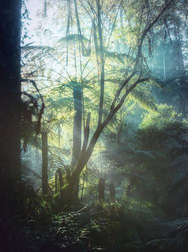 Original Botanic Photography by steven sandner