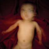 Reuben, No. 6 by Netti Habel
