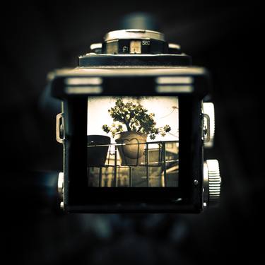 A look through the viewfinder of a Yashica D thumb