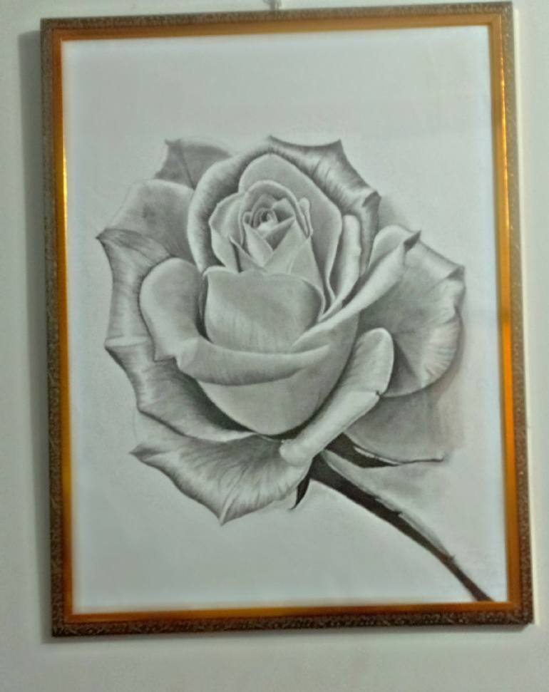 Original Black & White Nature Drawing by Samina Akram